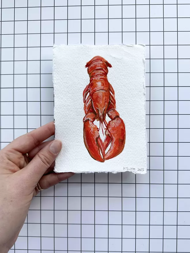 Lobster gouache painting being held against chequered background