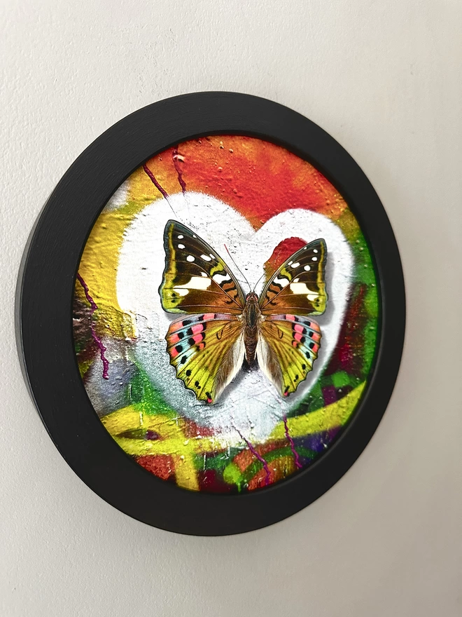 Butterfly on graffiti white heart spray paint in a black circular frame hanging on a wall