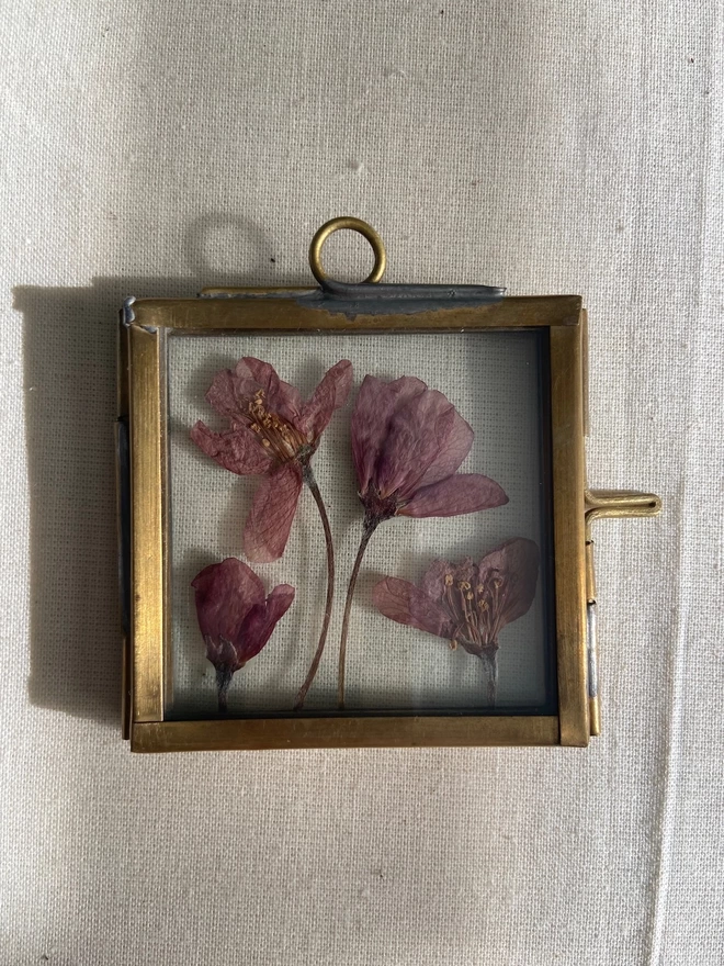 Square brass frame with small pink pressed flowers enclosed