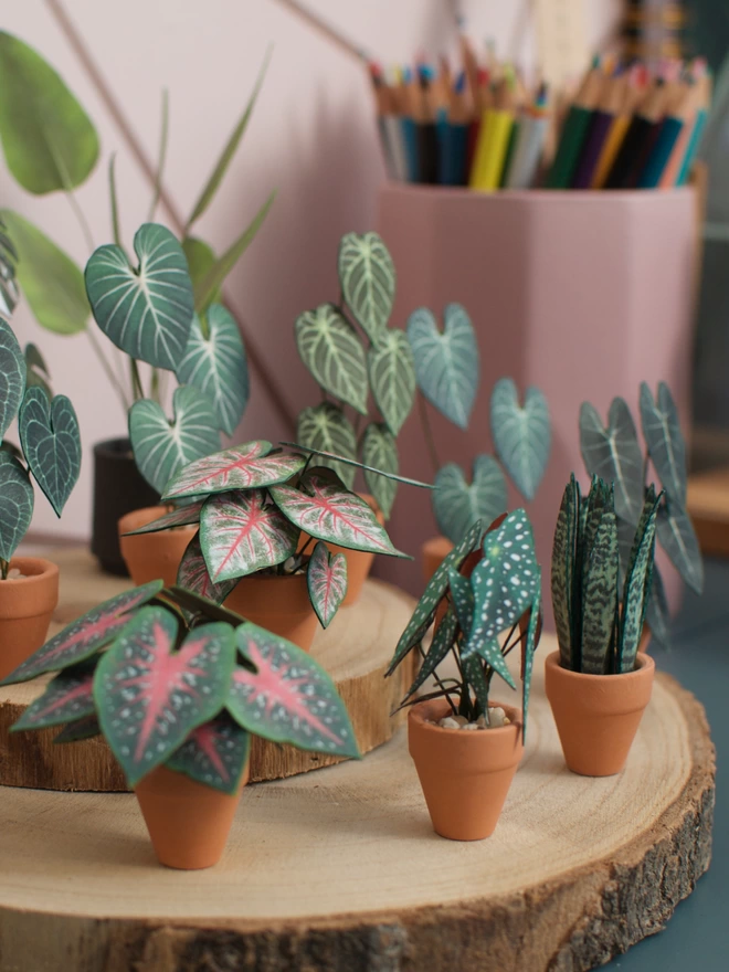 A group of miniature paper plants sat together on 2 wooden log slices with a pink pencil pot in the background filled with colouring pencils