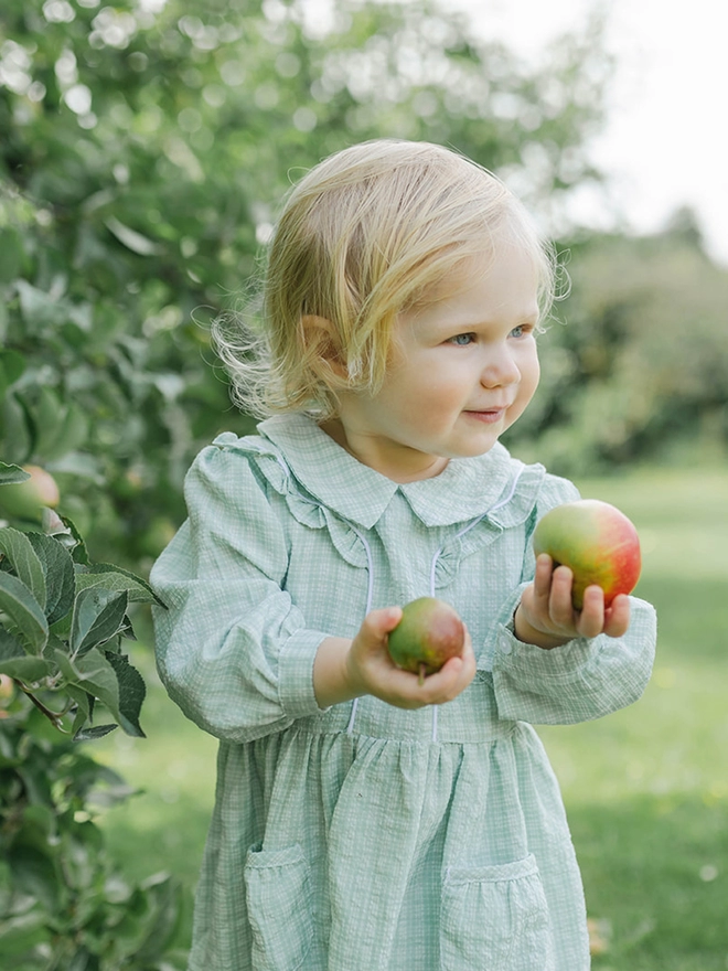 A little girl in a green checked dress with long sleeves and a collar holds two apples
