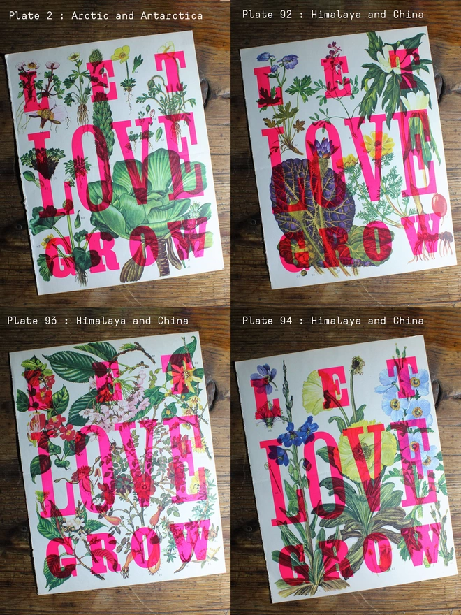Let Love Grow Limited Edition Letterpress Print