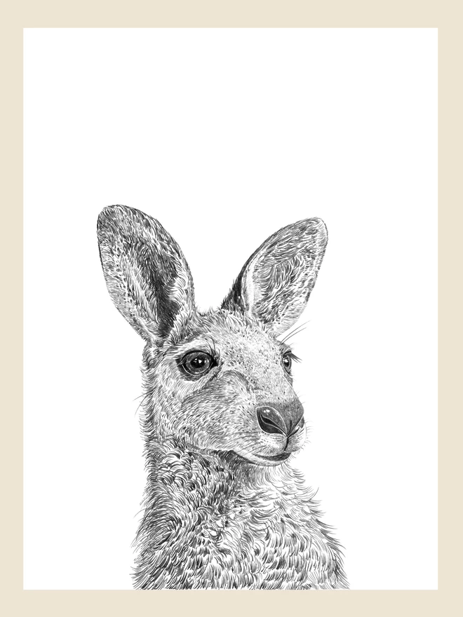 Artwork of the hand drawn kangaroo art print