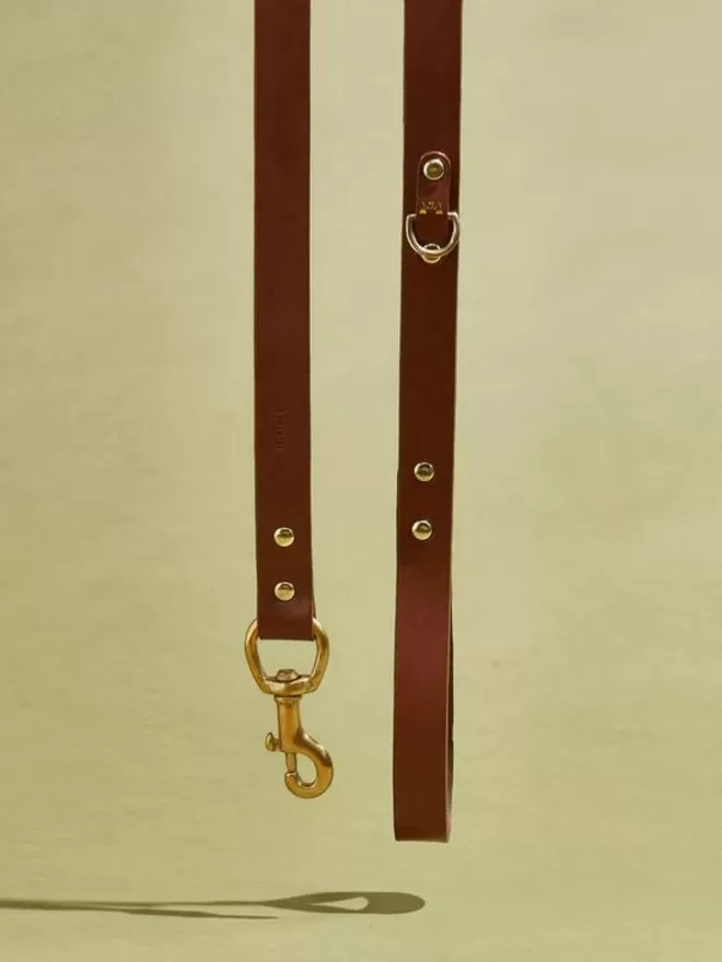 Brown leather dog lead