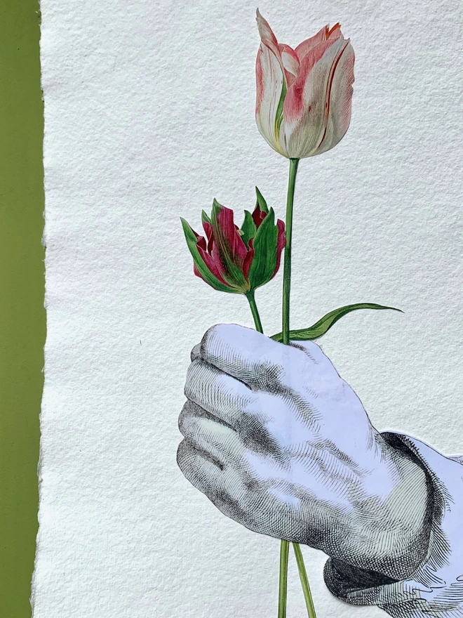 A collage artwork of a hand holding tulips.