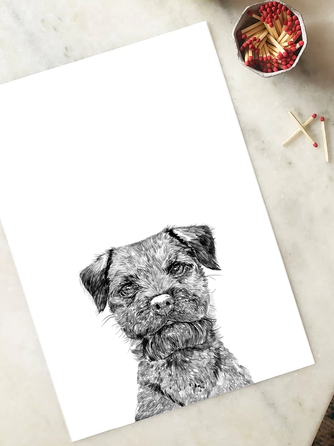 Art print of a hand drawn portrait of a border terrier laying on a table