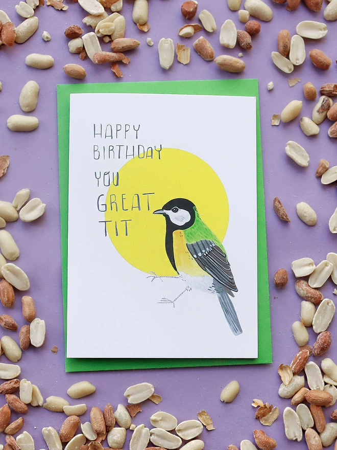Illustrated Great Tit Bird Birthday card surrounded by Peanuts