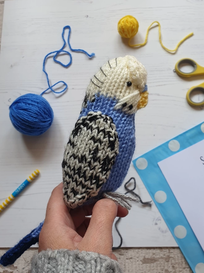 blue budgie knitting kit