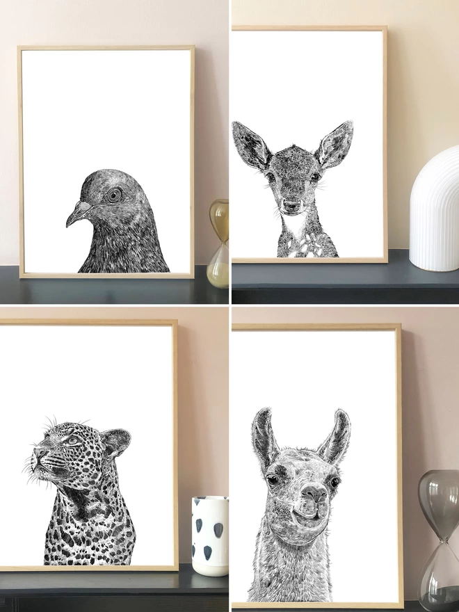 Art prints of pigeon, deer, leopard and llama from the animal print collection