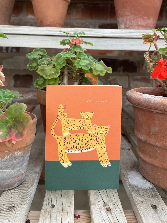 leopard and cub card