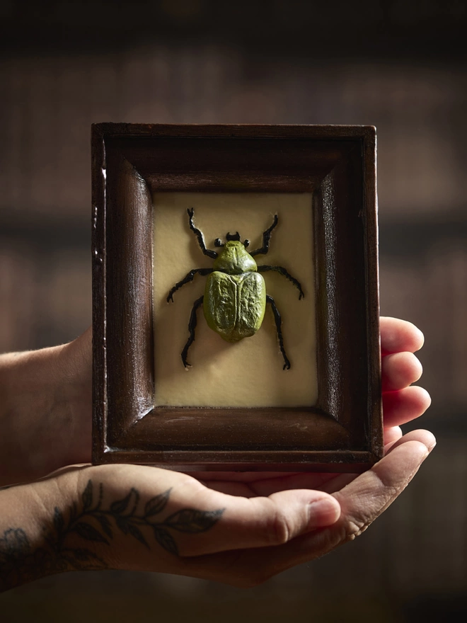 Realistic edible chocolate Chafer beetle in chocolate frame held in woman's hands