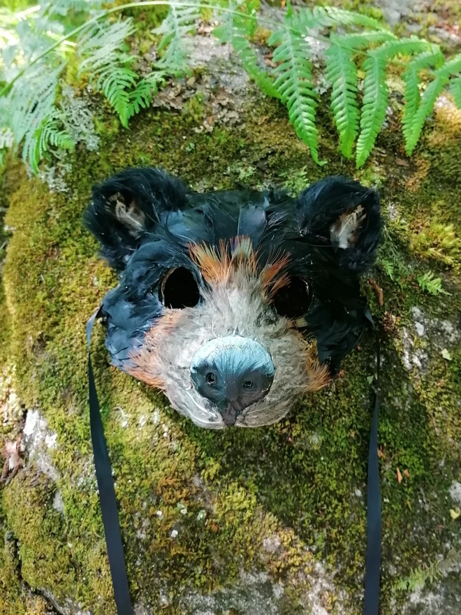 A luxury black bear masquerade mask sitting flat ontop of a moss covered rock