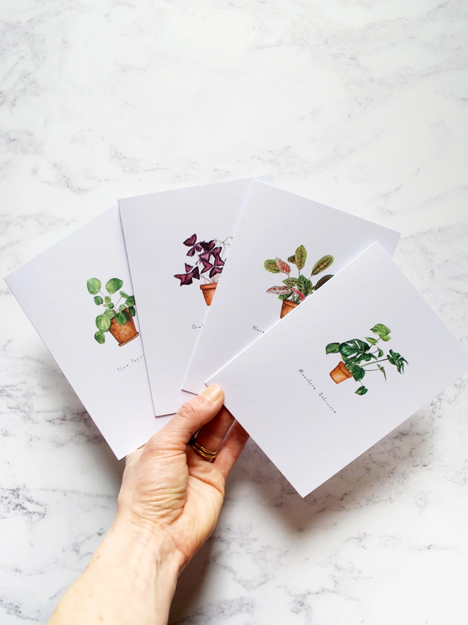 Intricately detailed house plant cards on A6 white card, monstera, oxalis, maranta and pilea are hand painted in watercolour and printed onto cards. A white womans hand holds the four cards our in a fan shape to display each card. 