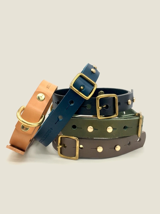 Five Dog Collars Stacked