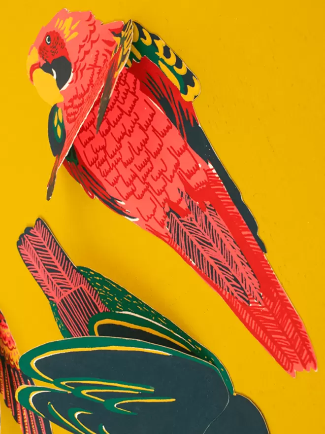 Close-up, detailed shot: pink parrot with a 'hidden' cream coloured message space beneath the wings.