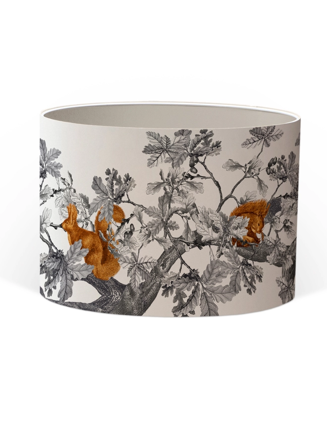 Drum Lampshade featuring Red Squirrels with a white inner on a white background