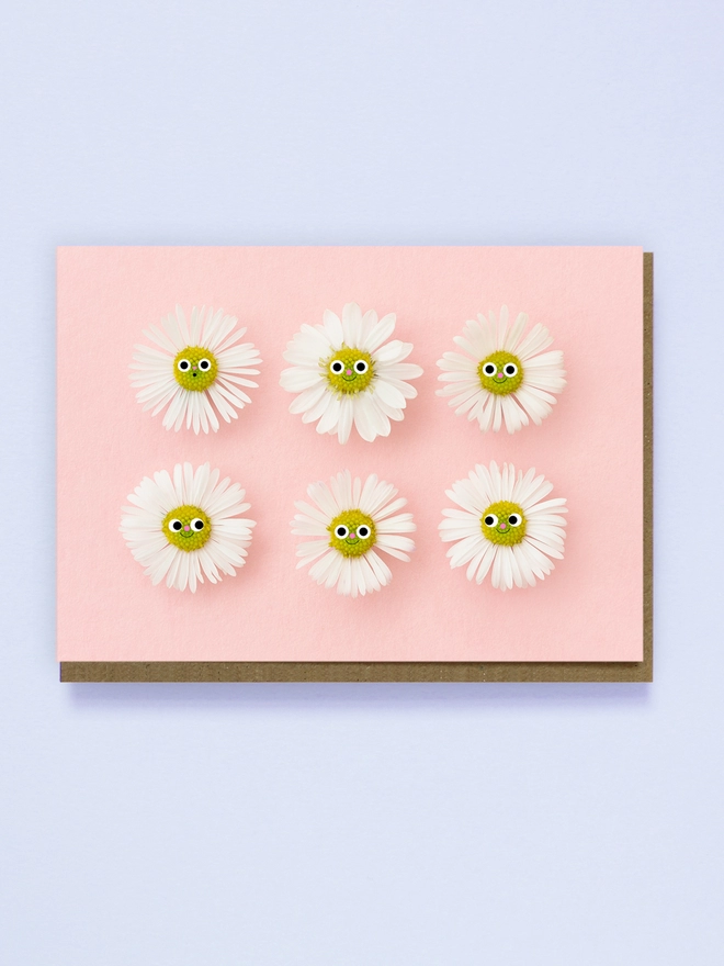 6 Smiling Daisy's on a pink background