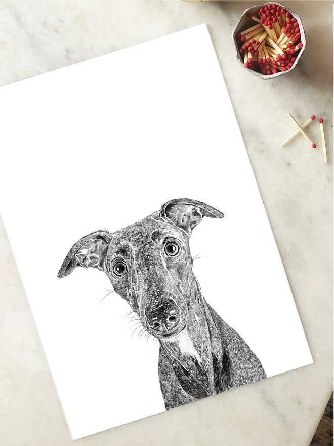 Whippet dog portrait art prints