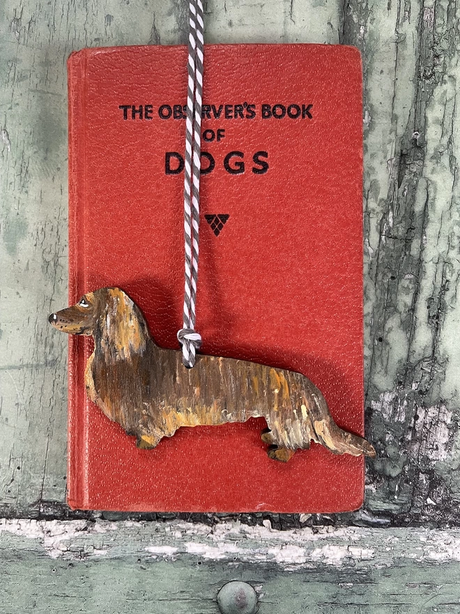 Long Haired Dachshund Portrait Rested on a book about dogs 