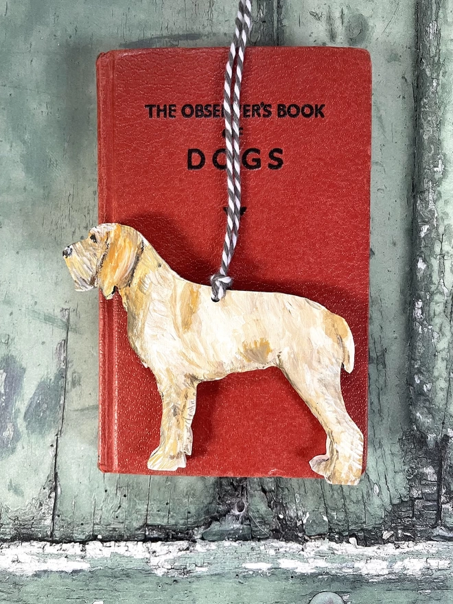 Orange and White Spinone Portrait Rested on a book about dogs 