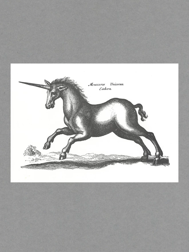 Poster of a black unicorn with text reading 'Monceros Unicornu Einhorn' on white paper