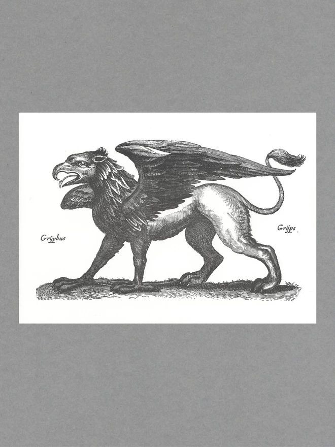 Poster of a black griffin with text reading 'Gryphus Gryps' on white paper