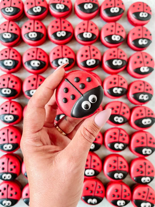 a person holding a ladybug macaron in front of a bunch of ladybugs