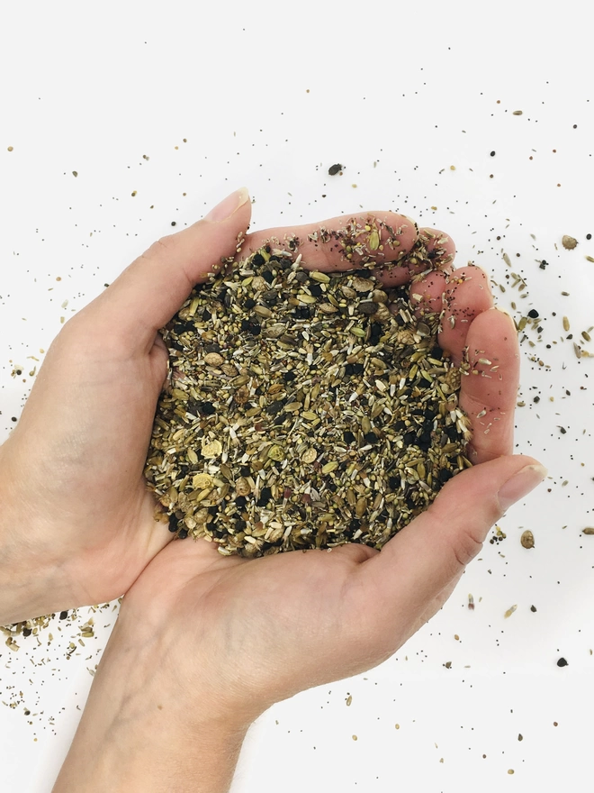 Wildflower seeds used in Ruby & Bo plantable paper