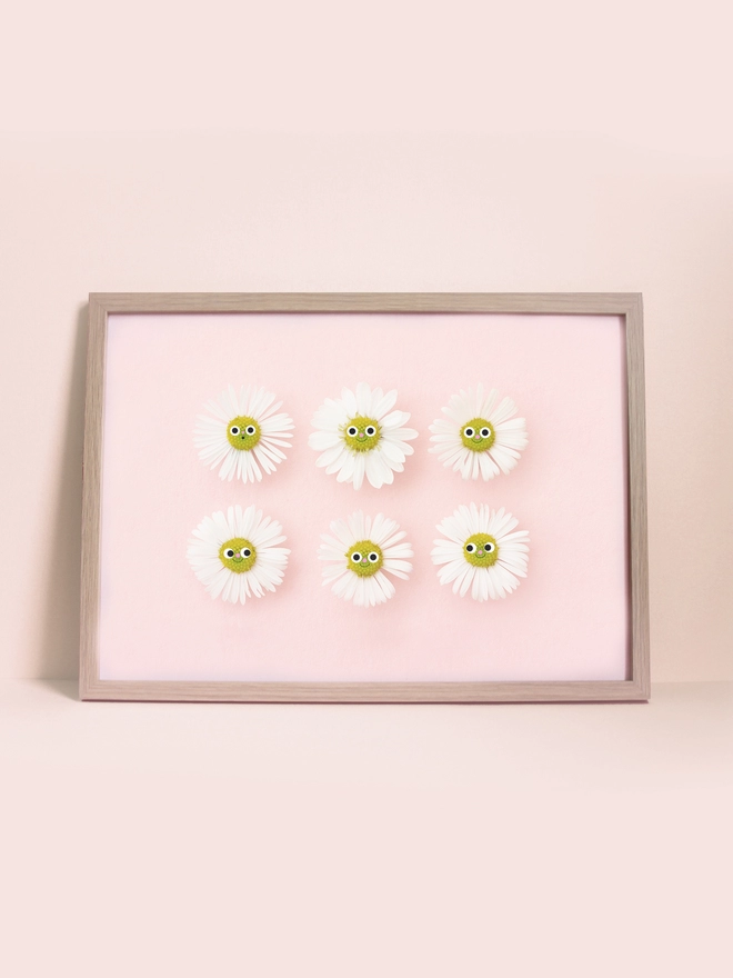 A3 print of 6 Smiling daisy on a pink background 