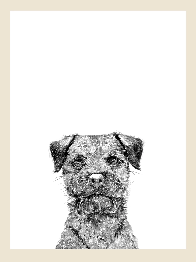 Artwork of a border terrier dog art print