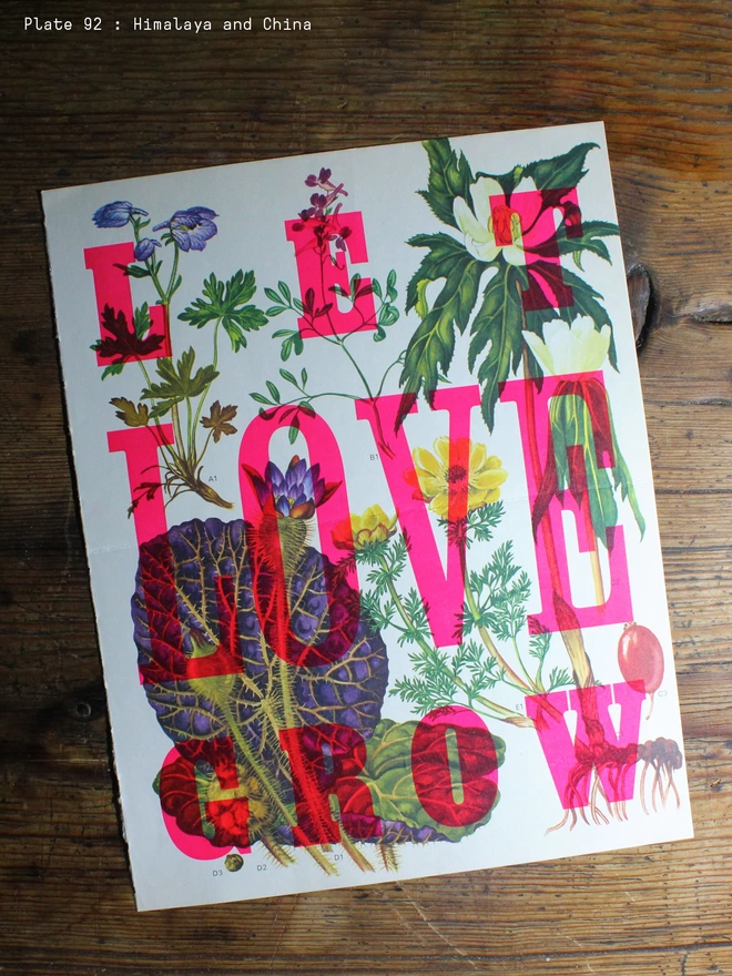 Let Love Grow Limited Edition Letterpress Print