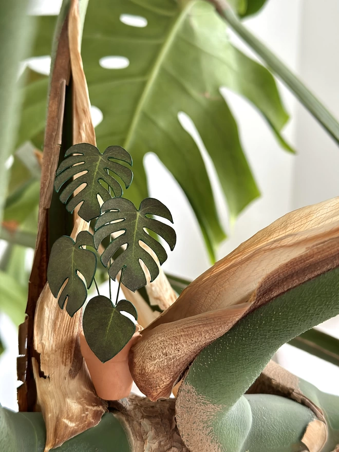 A miniature replica Monstera Deliciosa paper plant ornament in a terracotta pot nestled in the leaves of a real Monstera plant