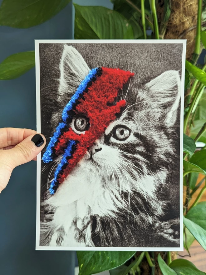 Black and white cat print with red and blue embroidered bolt held against blue background