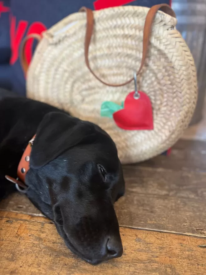 Red Leather Poo Pouch on a wicker basket with a labrador