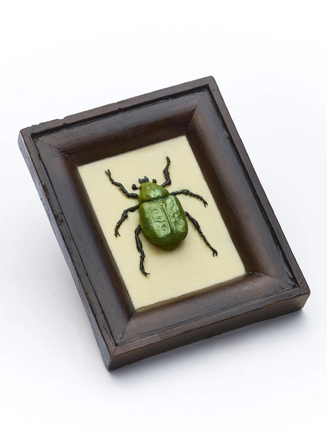 Realistic edible chocolate Chafer beetle in chocolate frame 