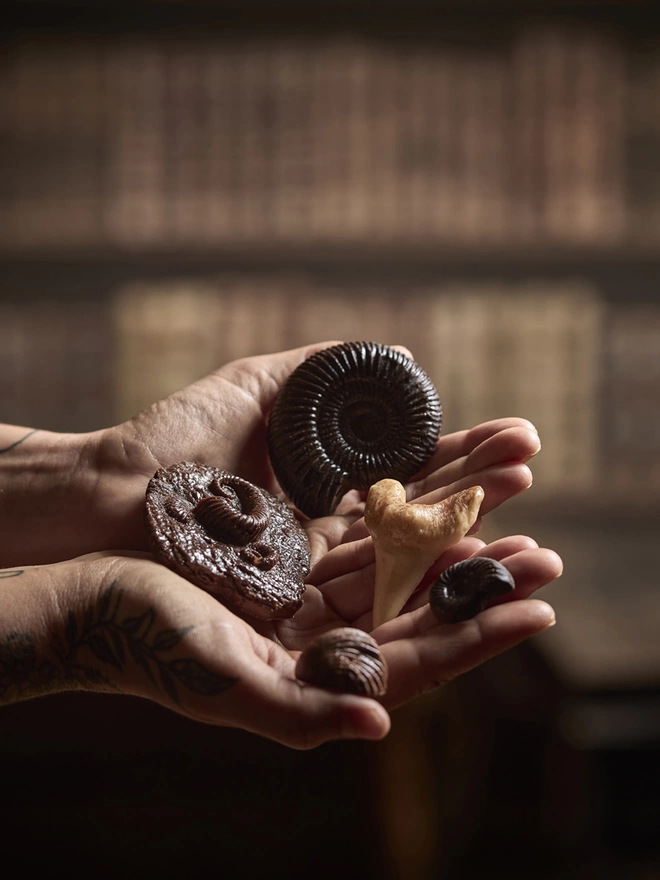 Selection of realistic edible chocolate fossils held in woman's hands