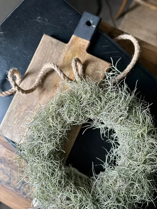 A circular wreath arrangement made of Tillandsia Usneoides. A long piece of jute hangs from the top of the wreath, it lays on a black table with a slim wooden board which sits slightly underneath the wreath. The contrasting black and brown beautifully enhances the green Tillandsia.  