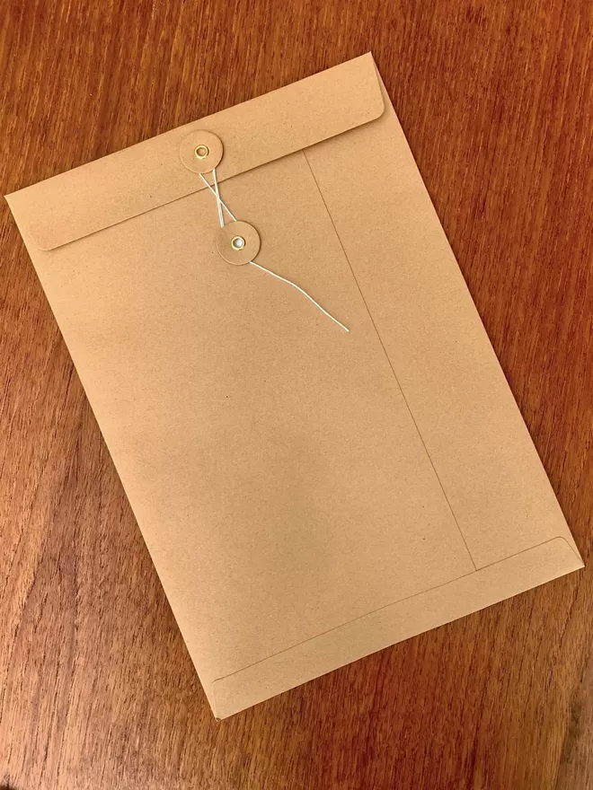 An A4 brown kraft paper window envelope with string closure..