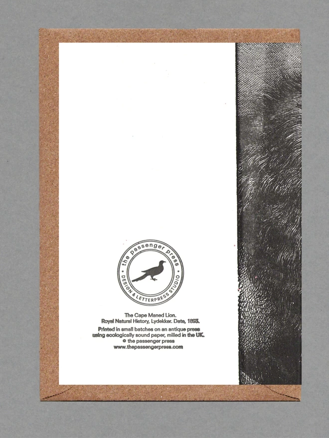 Back of lion card with a brown envelope behind on a grey background
