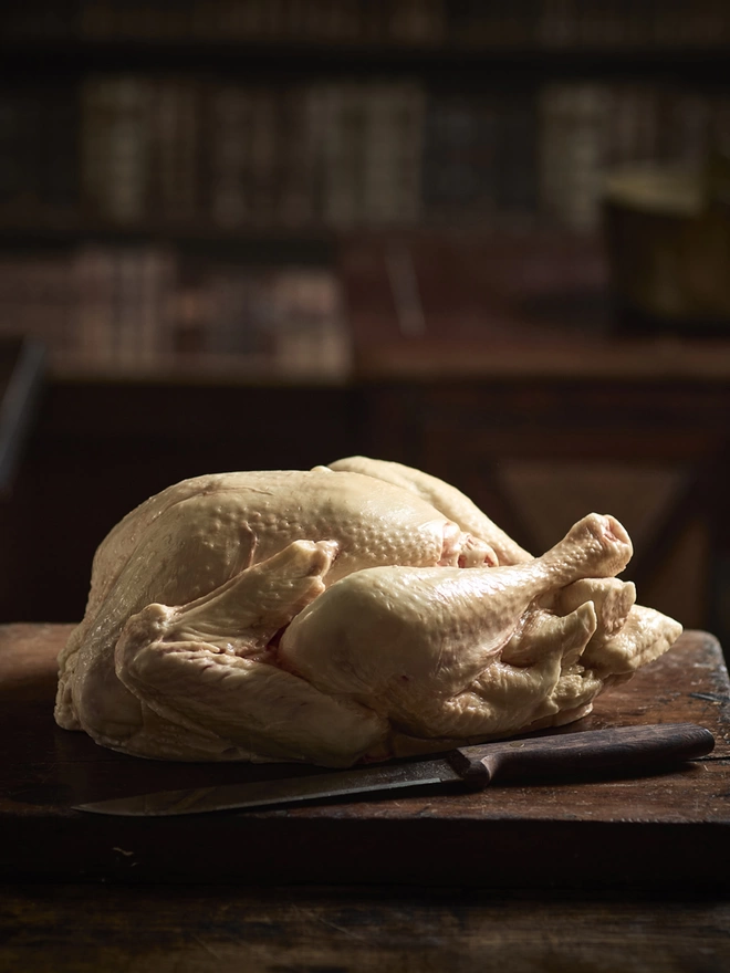 Realistic edible white chocolate raw turkey on antique table