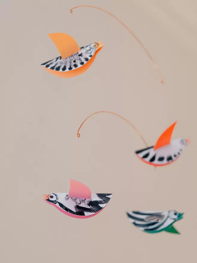Four colourful birds with black and white illustrated decoration hang from a mobile