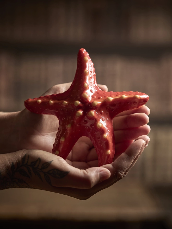 Realistic edible chocolate starfish held in woman's hands