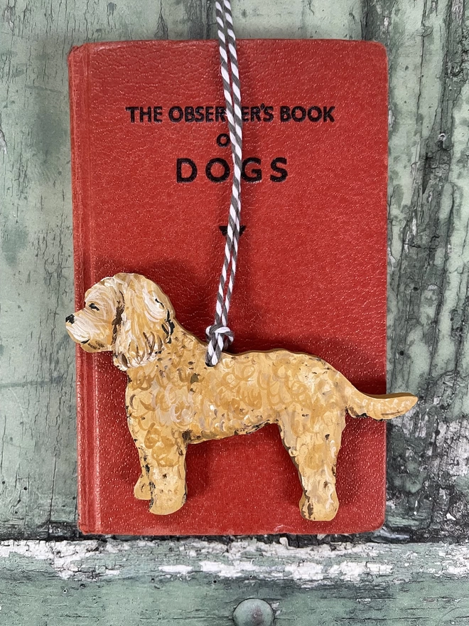 Cockapoo Portrait Rested on a book about dogs 