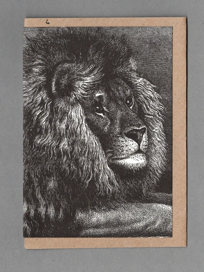 Black and white lion card with a brown envelope behind on a grey background