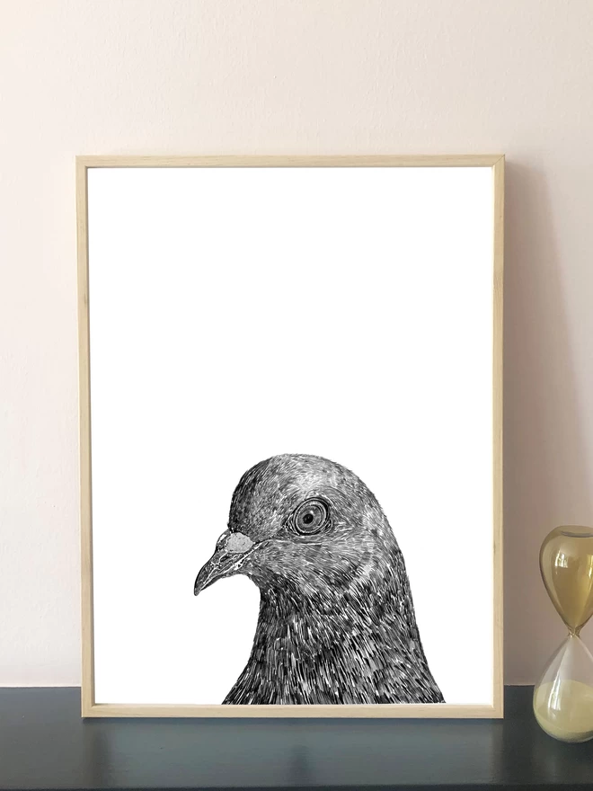 Art print of hand drawn pigeon portrait displayed in a frame