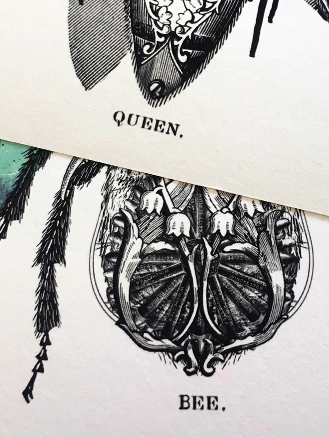 Killer Queen Bee limited edition giclee print hand finished with gold leaf - digital print