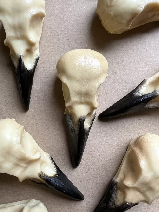 Realistic edible white chocolate crow skulls on brown paper