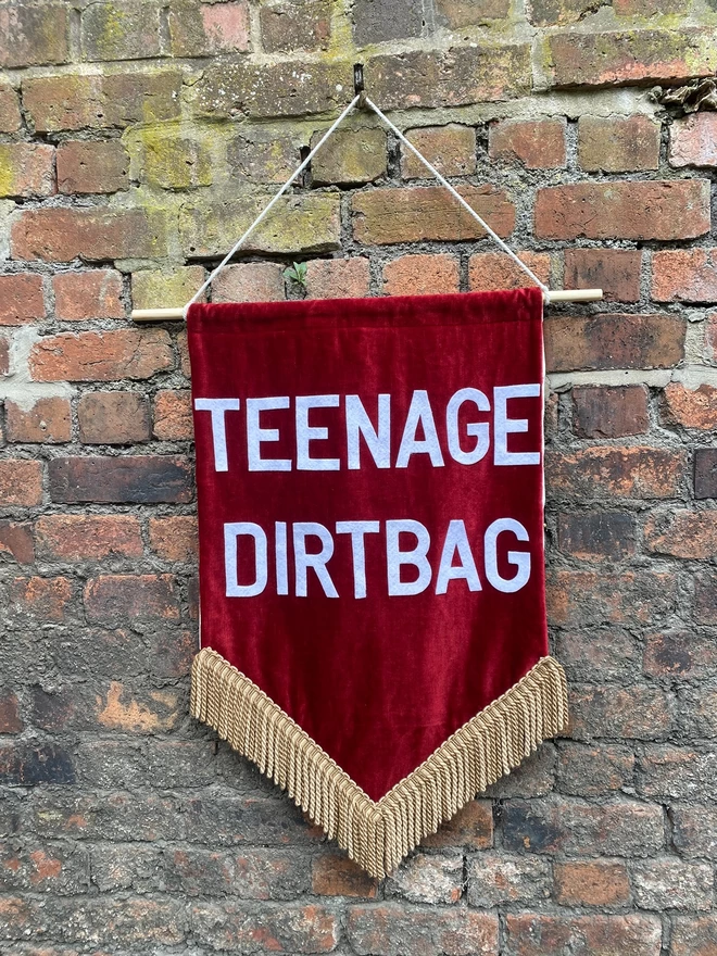 teenage dirtbag custom wall hanging