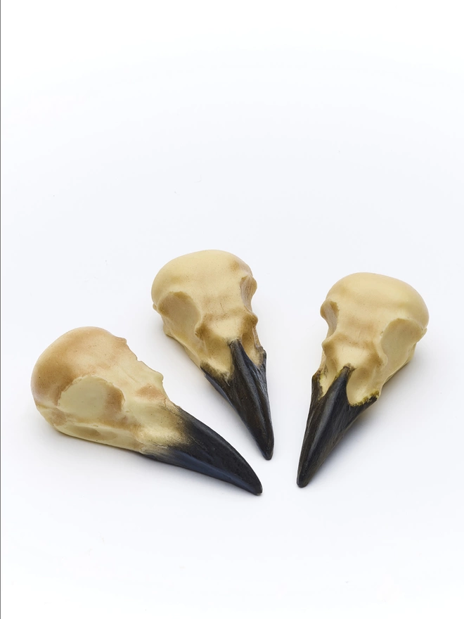 Realistic edible white chocolate crow skulls on white background
