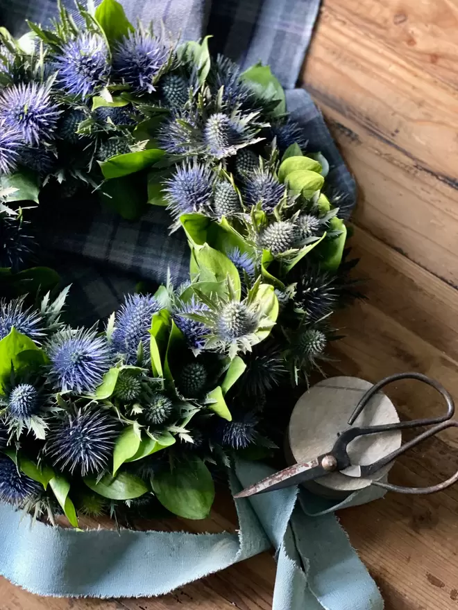 A Fresh Eryingium Wreath sits on a wooden table. A pale grey tartan napkin sits underneath the wreath, a contrasting duck egg blue rustic ribbon twirls alongside.